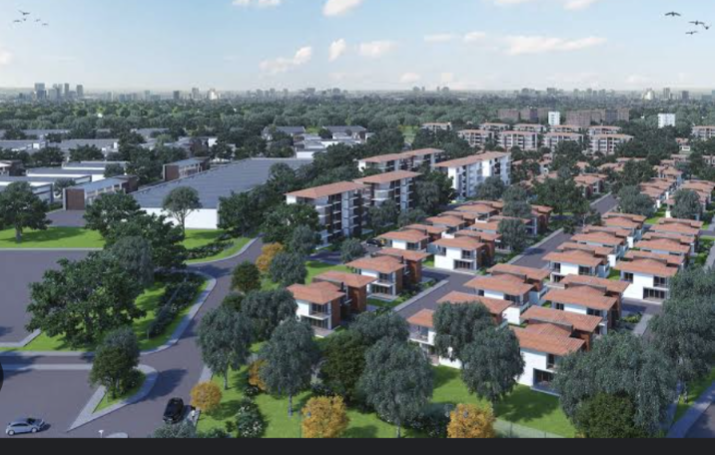 Tilisi Developments PLC (1)